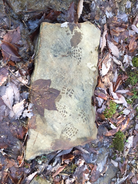 I call this "Stepping Stone with Leaf and Boot Print."