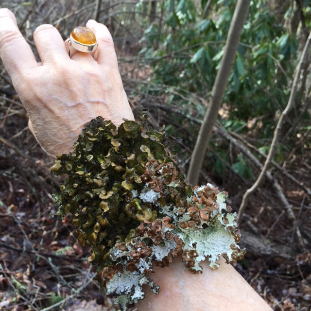 I'm likin' this lichen bracelet.